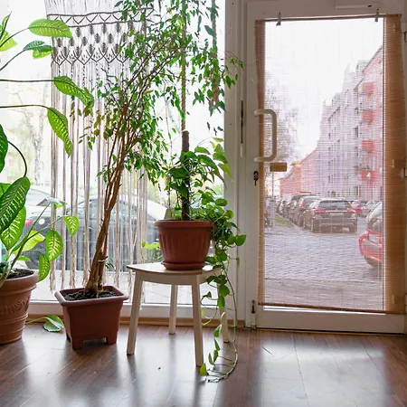 Boutique Altbau 아파트
